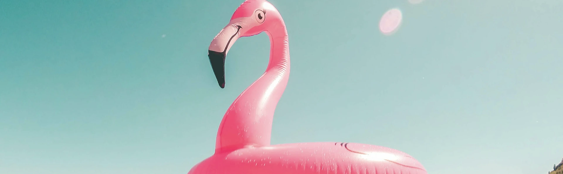 Flamingo Golden star Ferries